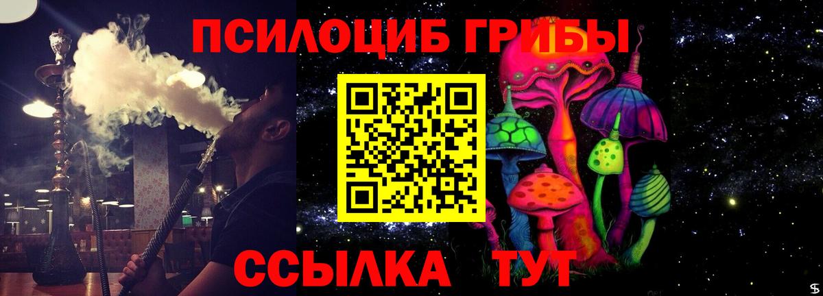 Псилоцибиновые грибы мухоморы Чебоксары