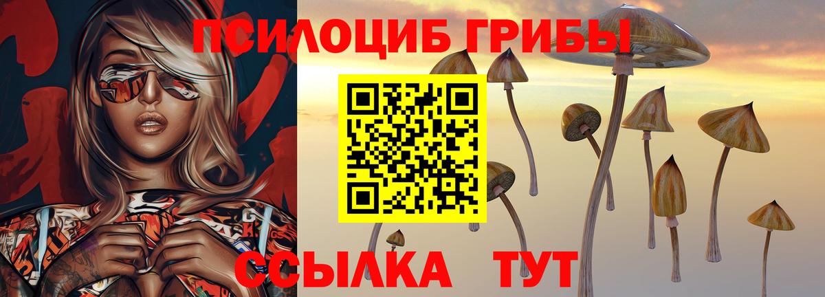 Галлюциногенные грибы GOLDEN TEACHER  Вход с VPN  Чебоксары 